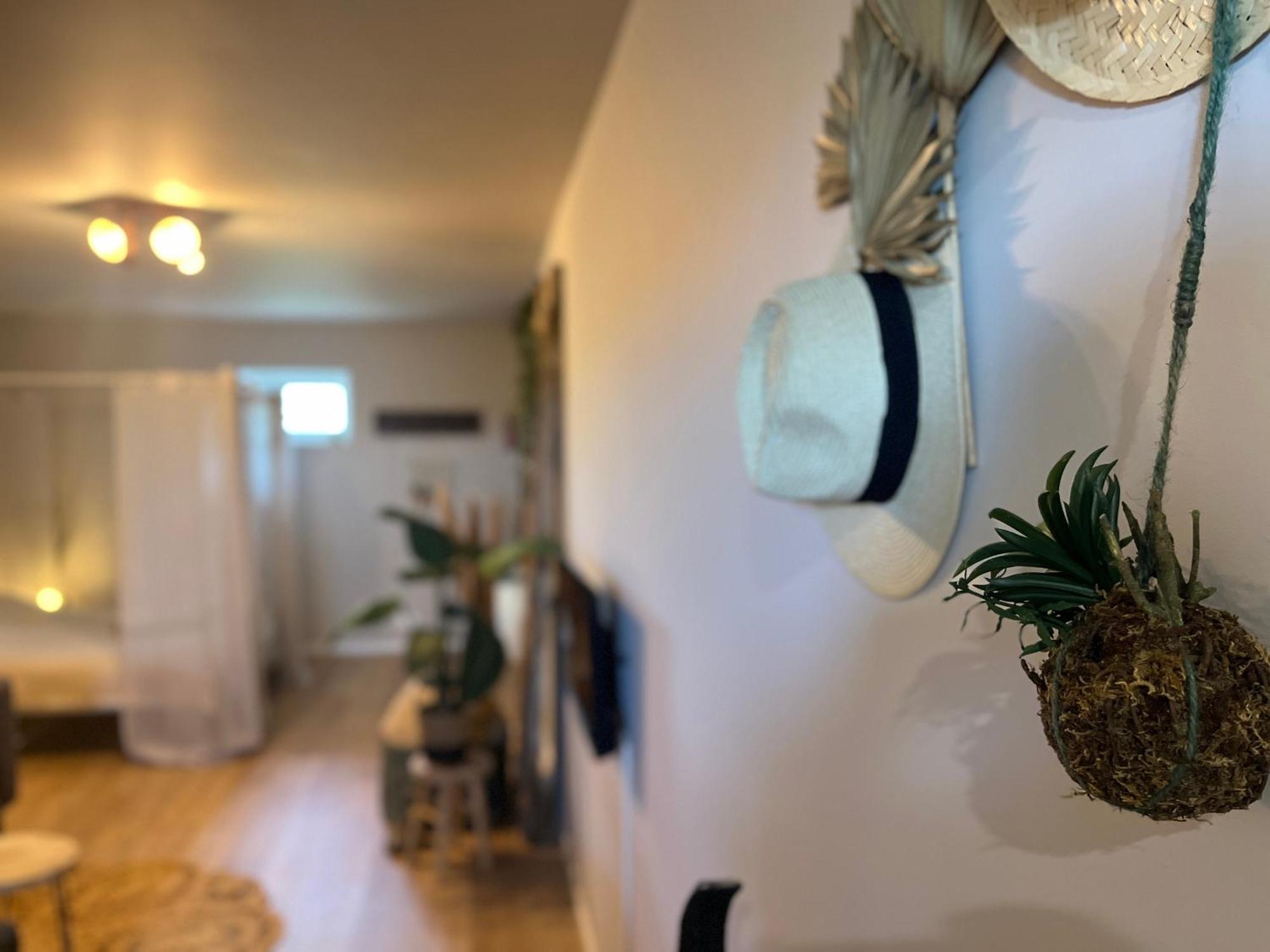 Gite "Ibiza" Chamblet المظهر الخارجي الصورة